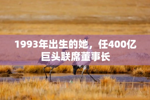 1993年出生的她，任400亿巨头联席董事长