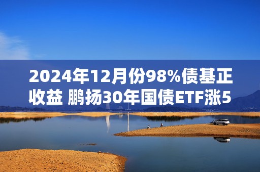 2024年12月份98%债基正收益 鹏扬30年国债ETF涨5.8%