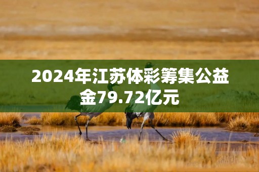 2024年江苏体彩筹集公益金79.72亿元