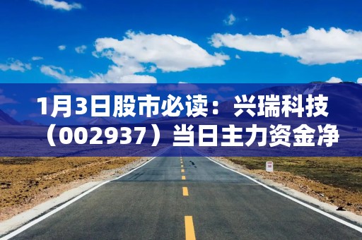 1月3日股市必读：兴瑞科技（002937）当日主力资金净流出370.72万元，占总成交额5.7%