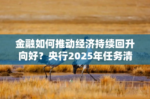 金融如何推动经济持续回升向好？央行2025年任务清单披露