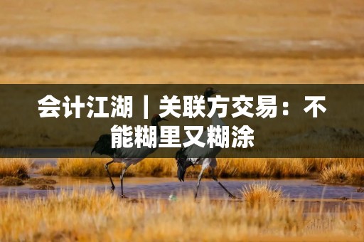 会计江湖｜关联方交易：不能糊里又糊涂