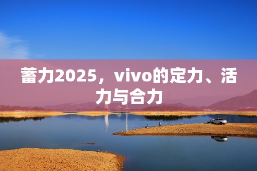 蓄力2025，vivo的定力、活力与合力