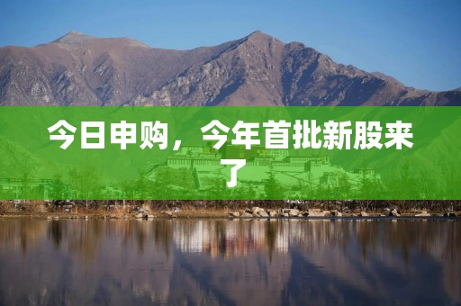 今日申购，今年首批新股来了
