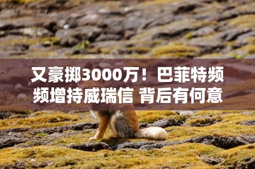 又豪掷3000万！巴菲特频频增持威瑞信 背后有何意图？