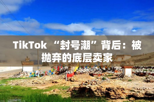 TikTok “封号潮”背后：被抛弃的底层卖家