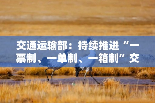 交通运输部：持续推进“一票制、一单制、一箱制”交通强国专项试点工作