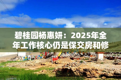 碧桂园杨惠妍：2025年全年工作核心仍是保交房和修复资产负债表