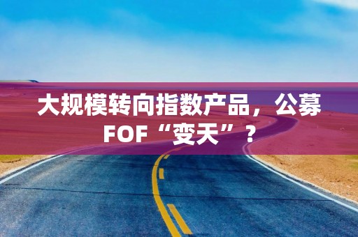 大规模转向指数产品，公募FOF“变天”？