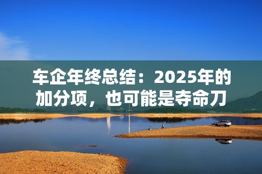 车企年终总结：2025年的加分项，也可能是夺命刀