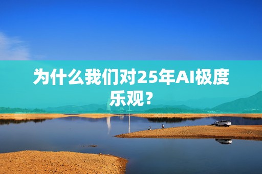 为什么我们对25年AI极度乐观？