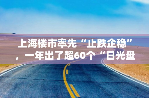 上海楼市率先“止跌企稳”，一年出了超60个“日光盘”