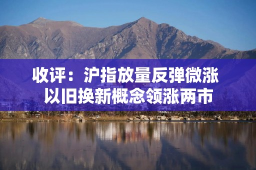 收评：沪指放量反弹微涨 以旧换新概念领涨两市