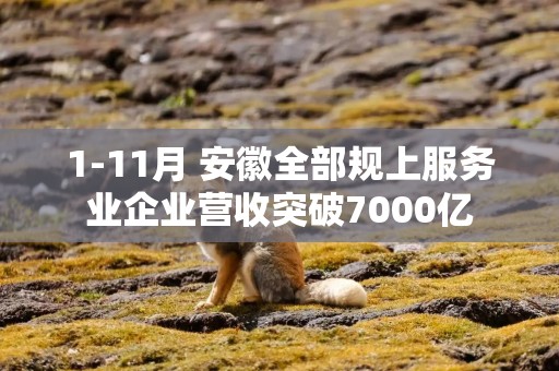 1-11月 安徽全部规上服务业企业营收突破7000亿