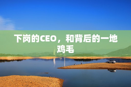 下岗的CEO，和背后的一地鸡毛