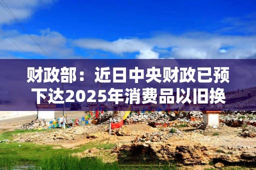 财政部：近日中央财政已预下达2025年消费品以旧换新资金810亿元