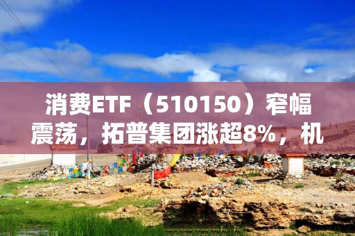 消费ETF（510150）窄幅震荡，拓普集团涨超8%，机构：刺激消费是2025年内需政策的核心关键