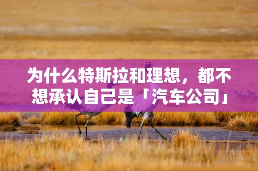 为什么特斯拉和理想，都不想承认自己是「汽车公司」？