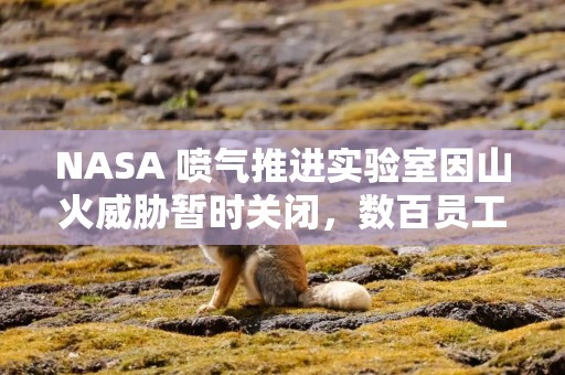 NASA 喷气推进实验室因山火威胁暂时关闭，数百员工被迫撤离家园