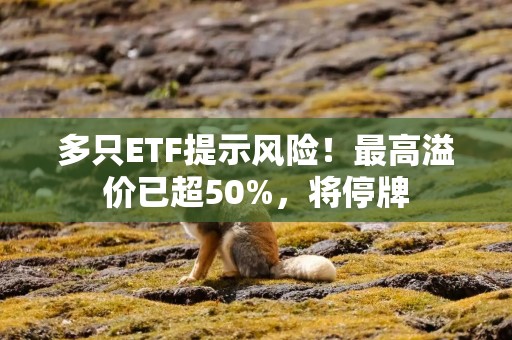 多只ETF提示风险！最高溢价已超50%，将停牌