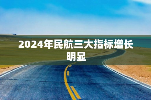 2024年民航三大指标增长明显