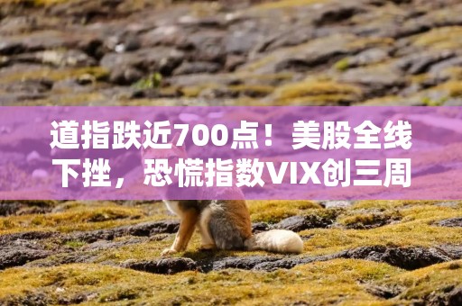 道指跌近700点！美股全线下挫，恐慌指数VIX创三周新高