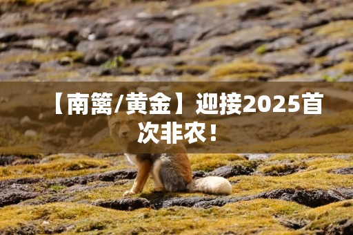 【南篱/黄金】迎接2025首次非农！