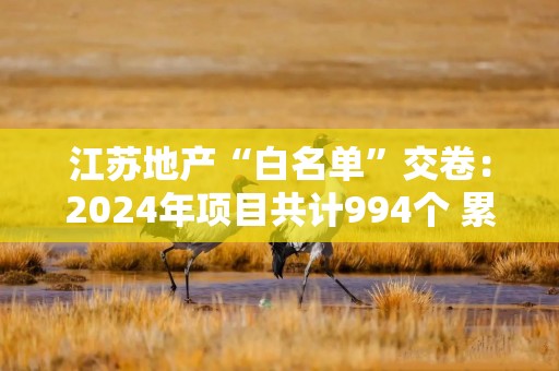 江苏地产“白名单”交卷：2024年项目共计994个 累计放款4127亿