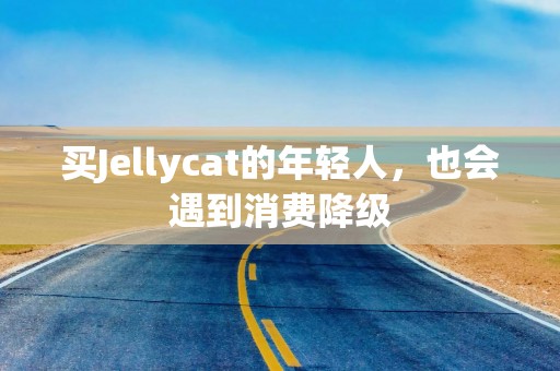 买Jellycat的年轻人，也会遇到消费降级