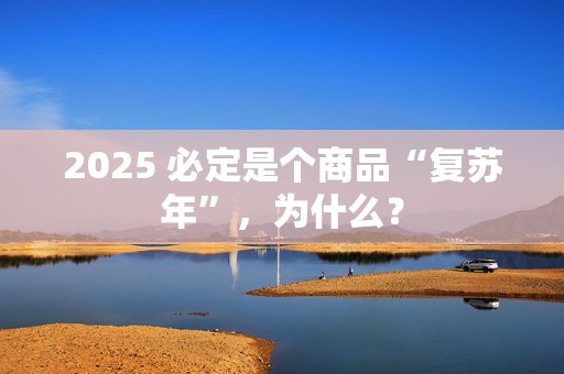 2025 必定是个商品“复苏年”，为什么？