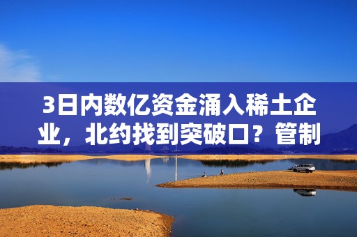 3日内数亿资金涌入稀土企业，北约找到突破口？管制令保卫战打响