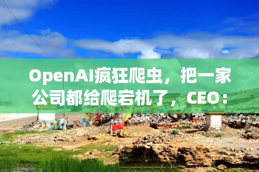 OpenAI疯狂爬虫，把一家公司都给爬宕机了，CEO：堪比DDoS