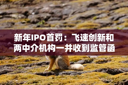 新年IPO首罚：飞速创新和两中介机构一并收到监管函