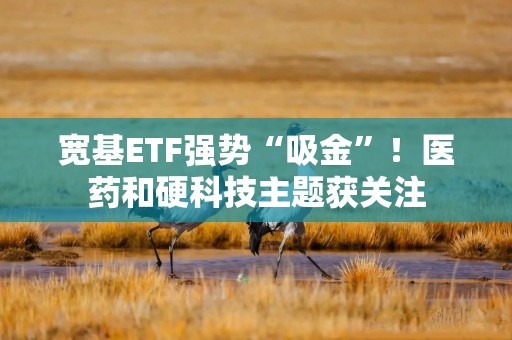 宽基ETF强势“吸金”！医药和硬科技主题获关注