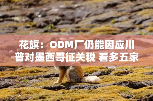 花旗：ODM厂仍能因应川普对墨西哥征关税 看多五家台厂