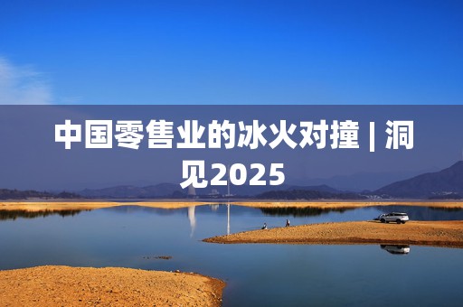 中国零售业的冰火对撞 | 洞见2025