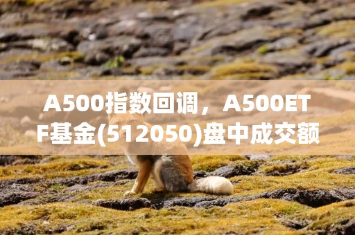 A500指数回调，A500ETF基金(512050)盘中成交额突破31亿元，雅化集团涨停