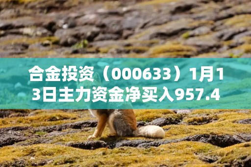 合金投资（000633）1月13日主力资金净买入957.45万元