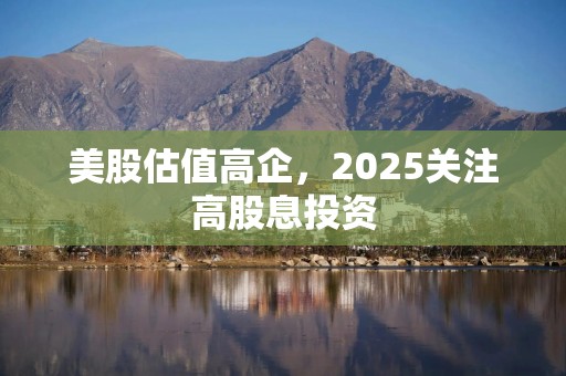 美股估值高企，2025关注高股息投资