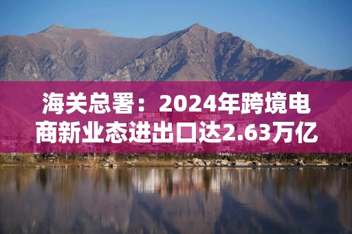 海关总署：2024年跨境电商新业态进出口达2.63万亿元