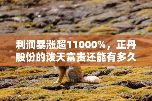 利润暴涨超11000%，正丹股份的泼天富贵还能有多久？