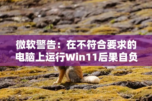 微软警告：在不符合要求的电脑上运行Win11后果自负