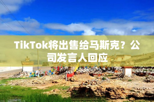 TikTok将出售给马斯克？公司发言人回应