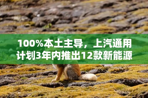 100%本土主导，上汽通用计划3年内推出12款新能源车型