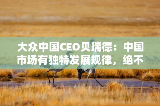 大众中国CEO贝瑞德：中国市场有独特发展规律，绝不能消极等待和幻想