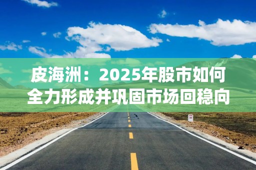 皮海洲：2025年股市如何全力形成并巩固市场回稳向好势头？ | 立方大家谈