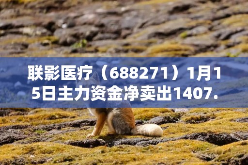 联影医疗（688271）1月15日主力资金净卖出1407.14万元