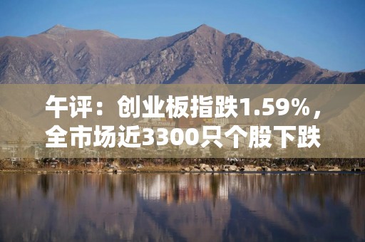 午评：创业板指跌1.59%，全市场近3300只个股下跌，小红书概念持续火热，金融科技板块普遍调整