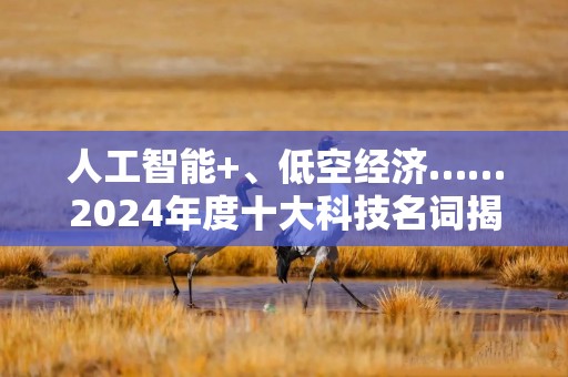 人工智能+、低空经济……2024年度十大科技名词揭晓