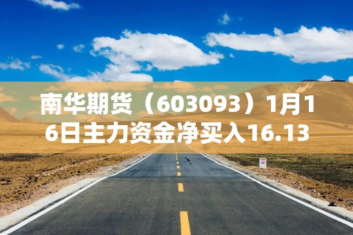 南华期货（603093）1月16日主力资金净买入16.13万元